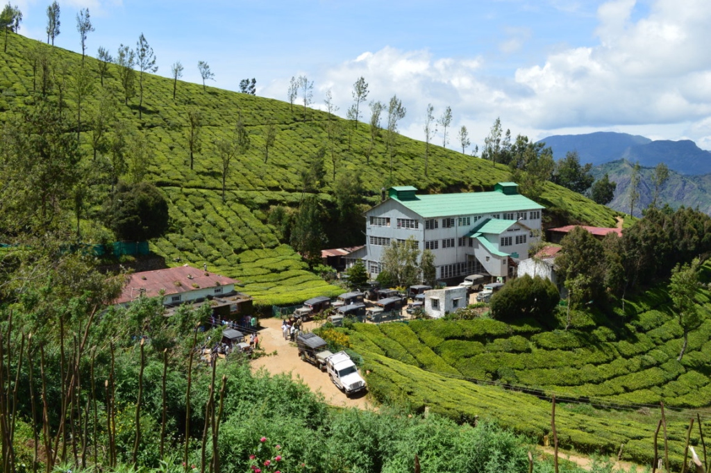 10 Popular Tea Estates In India To Visit - Hotel Dekho